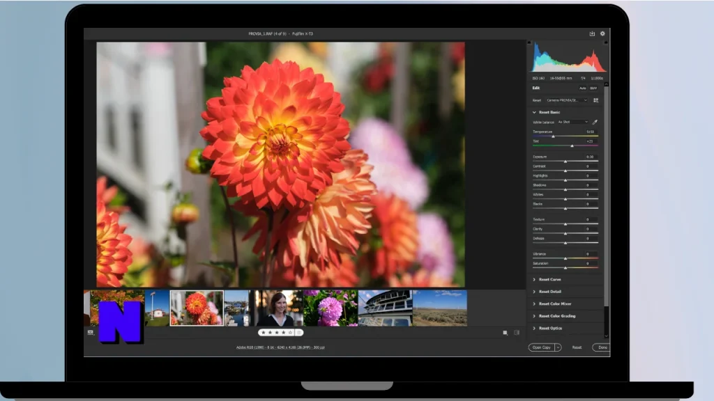 Adobe Camera Raw Download Full Terbaru Version