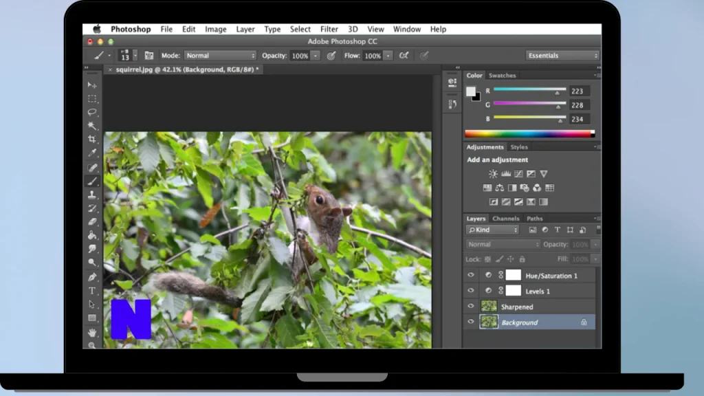 Adobe Photoshop Elements Download Full Terbaru Version