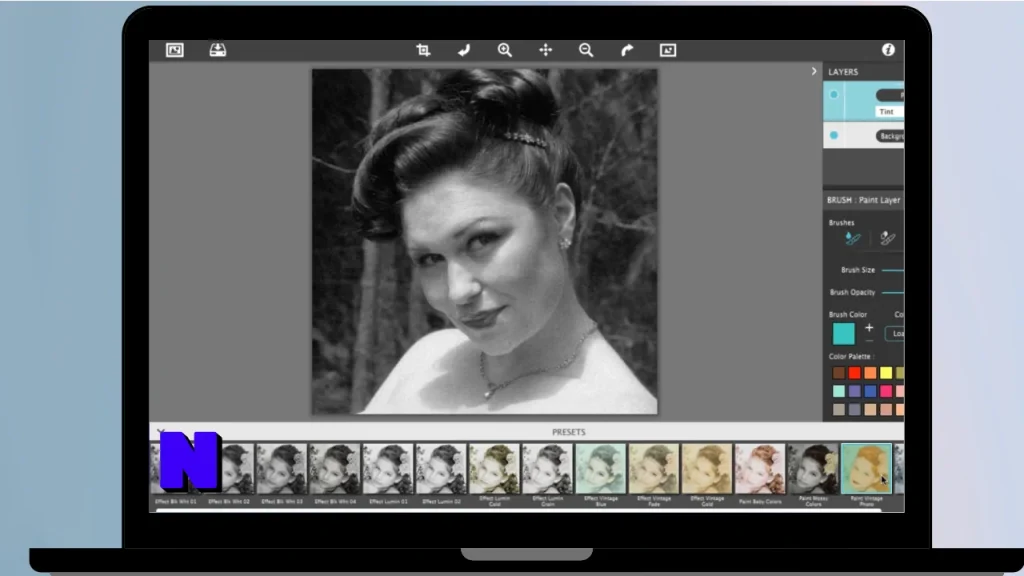 JixiPix Hand Tint Pro Download Full Terbaru Version
