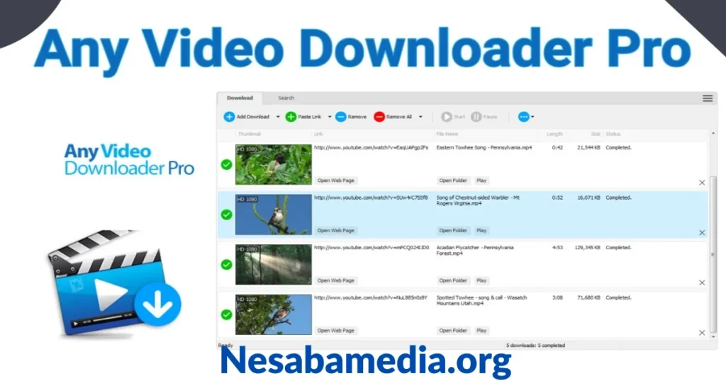 Any Video Downloader Pro download