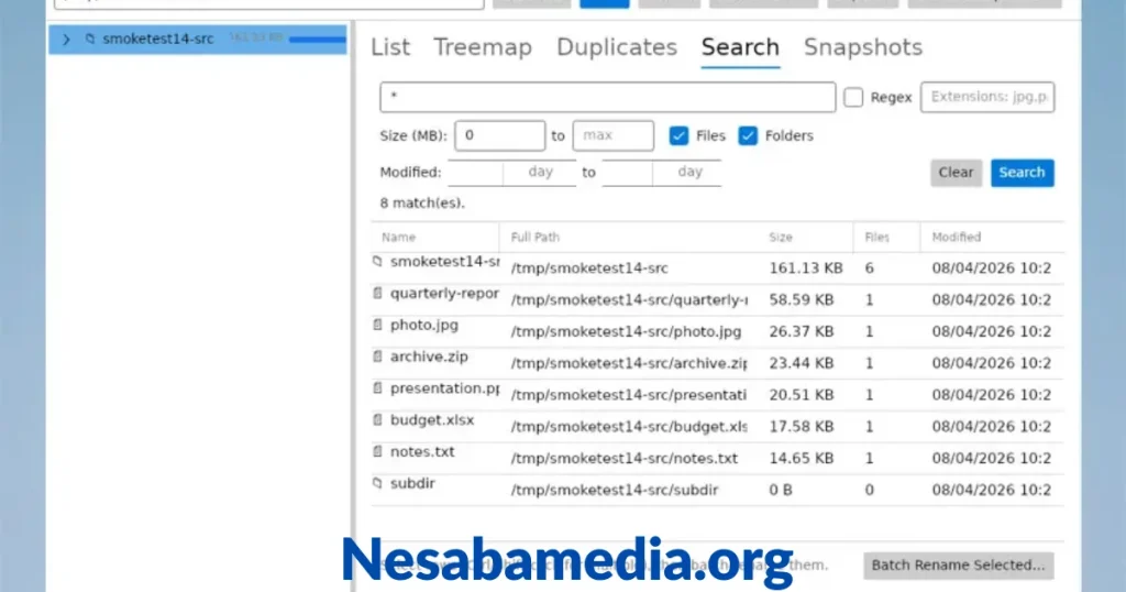 DiskGeek Windows 11 disk analyzer