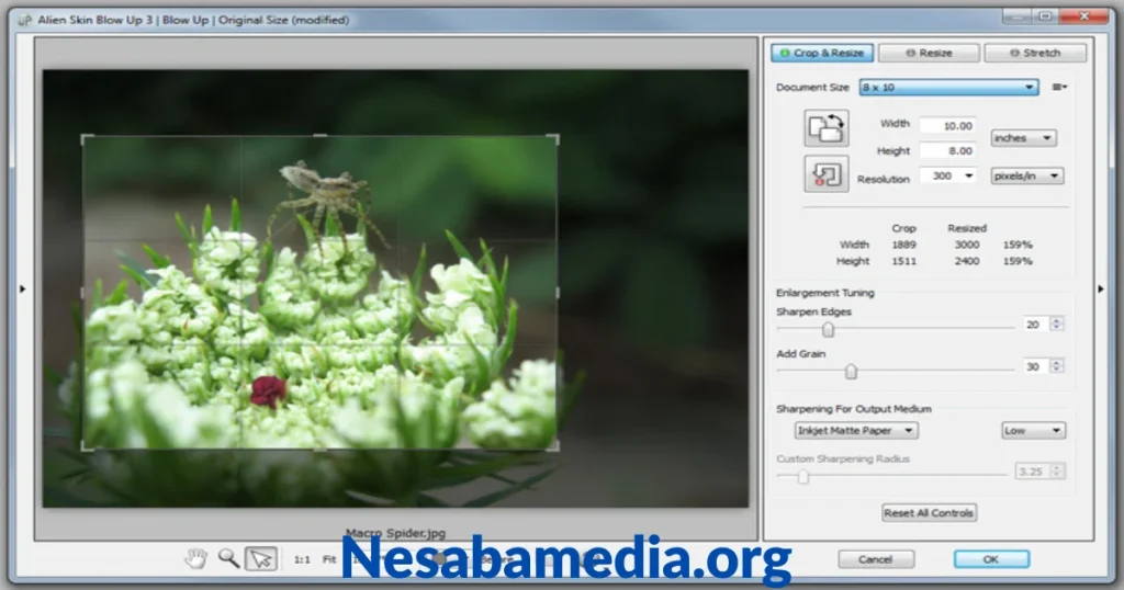 Exposure Software Blow Up Terbaru