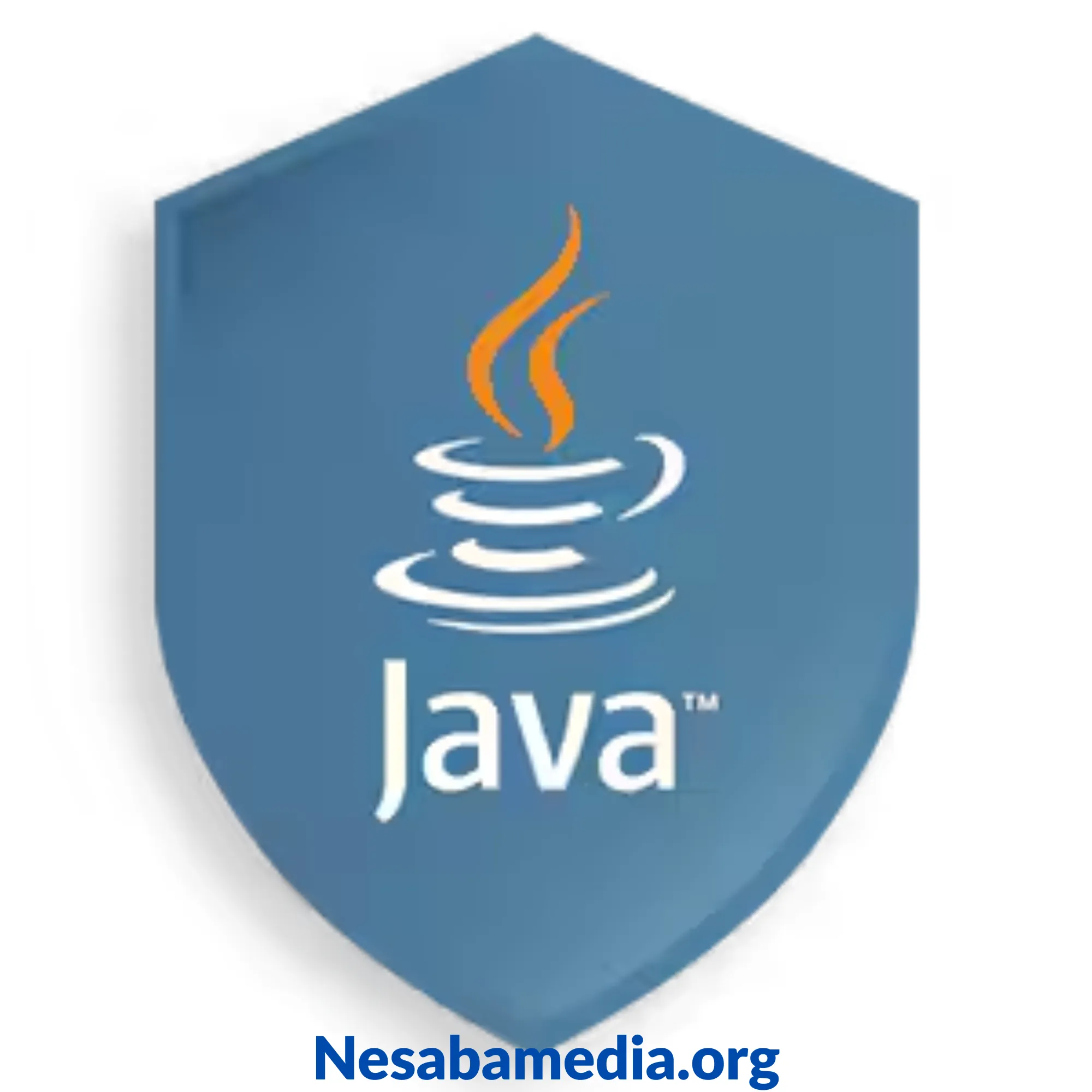 Java SE Runtime Environment konfigurasi Java di Windows (1)
